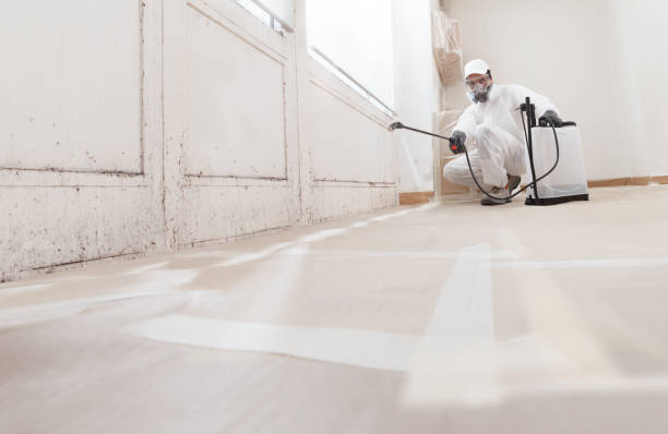 24/7 Emergency Mold Remediation experts in Kingsville, TX